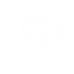 vilnis vilnis